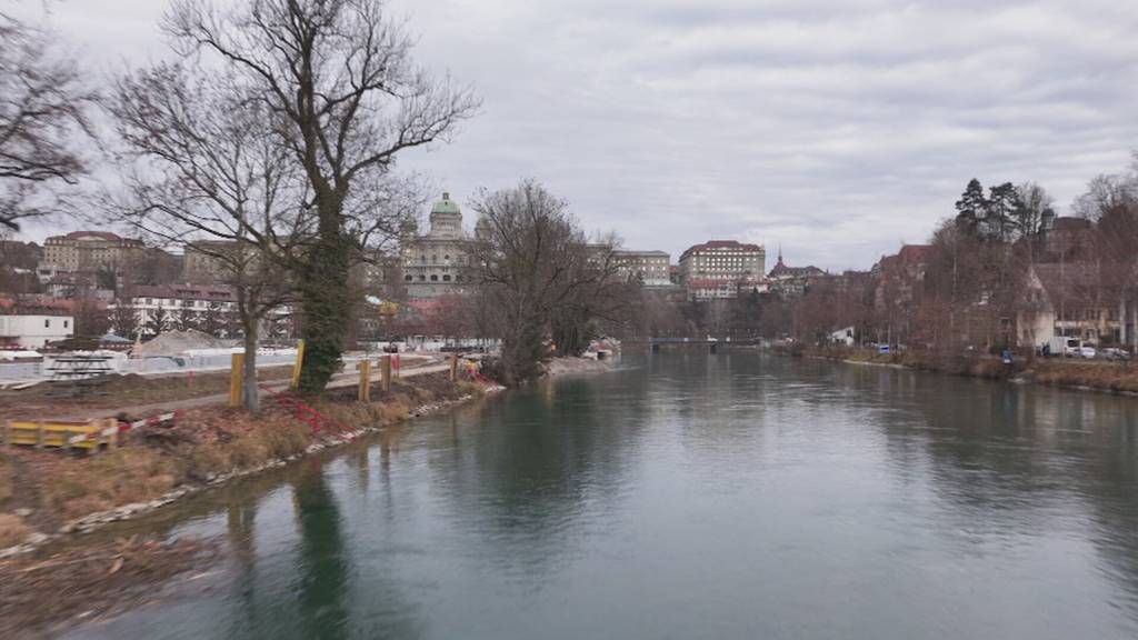 Biber sorgen bei Marzili-Sanierung für Probleme