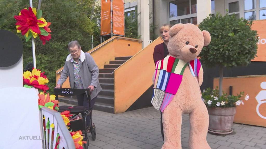 Adoptivbär: In Wettingen sind die Kuscheltiere los