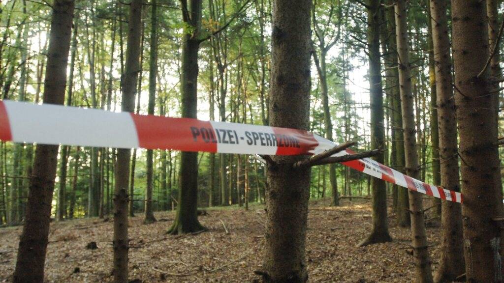 Die Leiche Ylenias wurde am 15. September 2007 im Hartmannswald bei Oberbüren (SG) gefunden. (Archivbild)