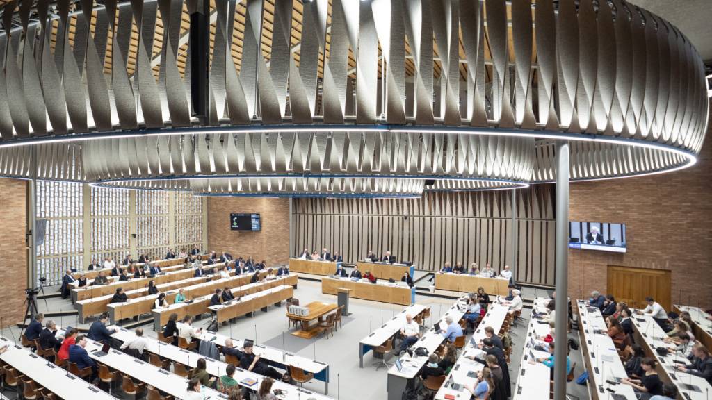 Stadtzürcher Parlament zieht Sans-Papiers-Hilfe vors Bundesgericht