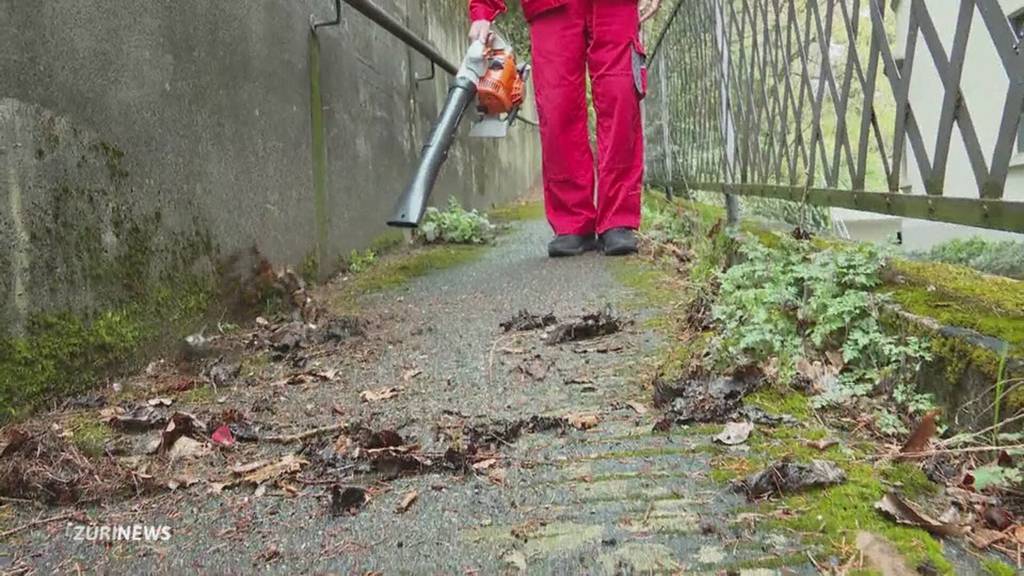 Laubbläser nur noch drei Monate im Jahr erlaubt