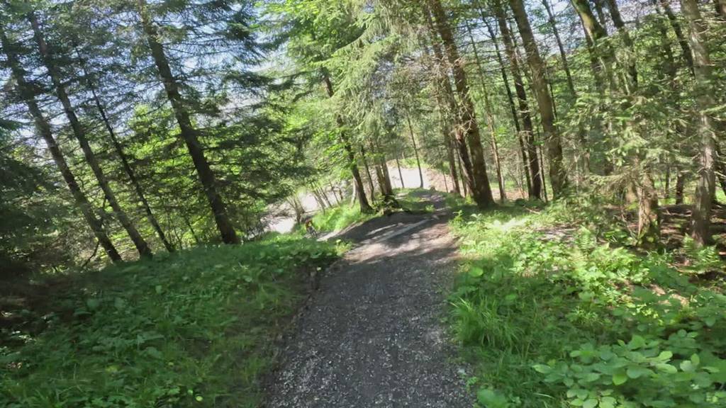 Vorschau «6 Wochen - 6 Kantone»