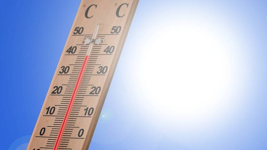 Hitzebingo: Wir haben die Top-Temperatur und eine Gewinnerin
