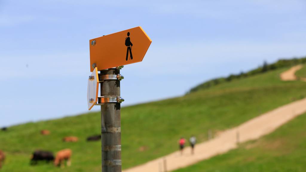 Wandern im Frühling