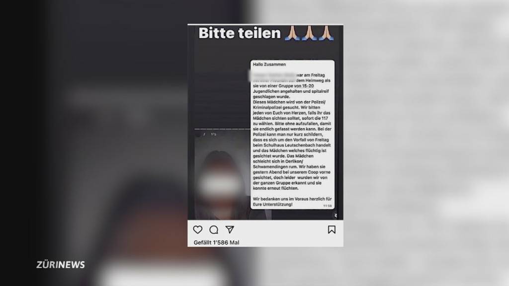 Social-Media-Pranger für Schwamdendinger Schlägerin