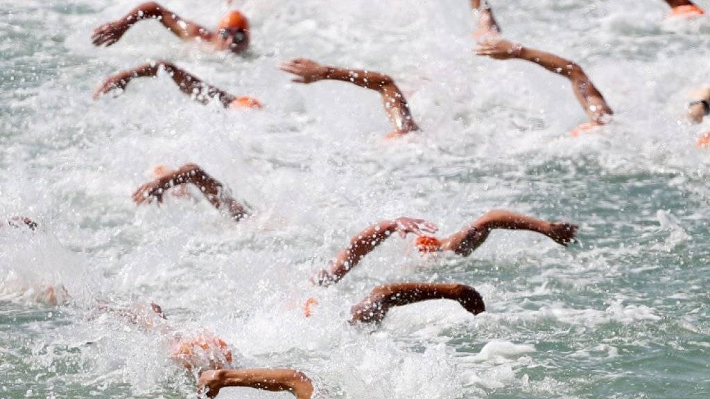 Auch die Triathletinnen werden am Samstag zum Schwimmen kommen