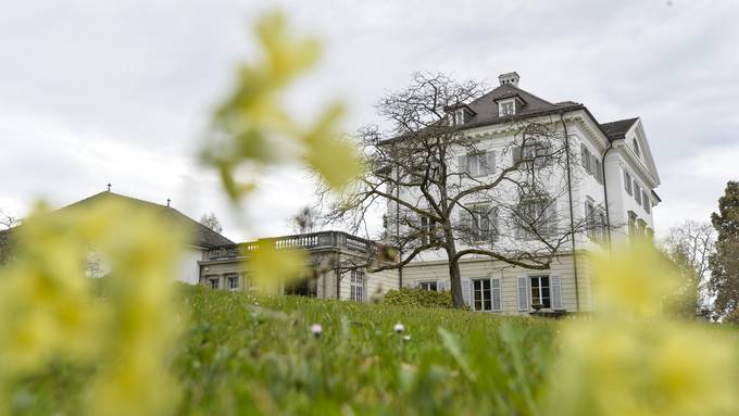 «Der Meistbietende bekam das Schloss»