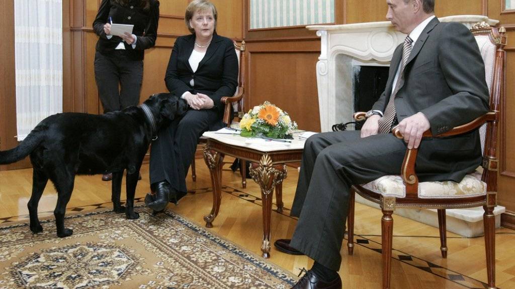 Obwohl Wladimir Putin wusste, dass Angela Merkel unwohl ist in der Nähe von Hunden, hat er sie 2007 zusammen mit seinen Kläffer empfangen (Archiv).