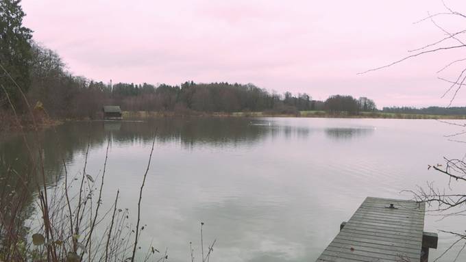 Verschmutzte Weiher im Thurgau: Grüne fordern Massnahmen