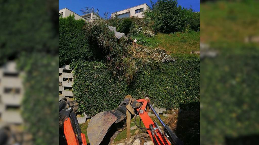 Baggerunfall in Oftringen endet tödlich