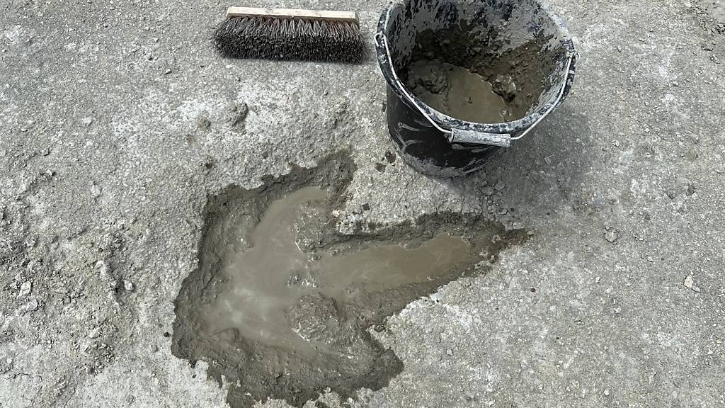 Grosse Fundstätte von Dinosaurierspuren in Grossbritannien entdeckt