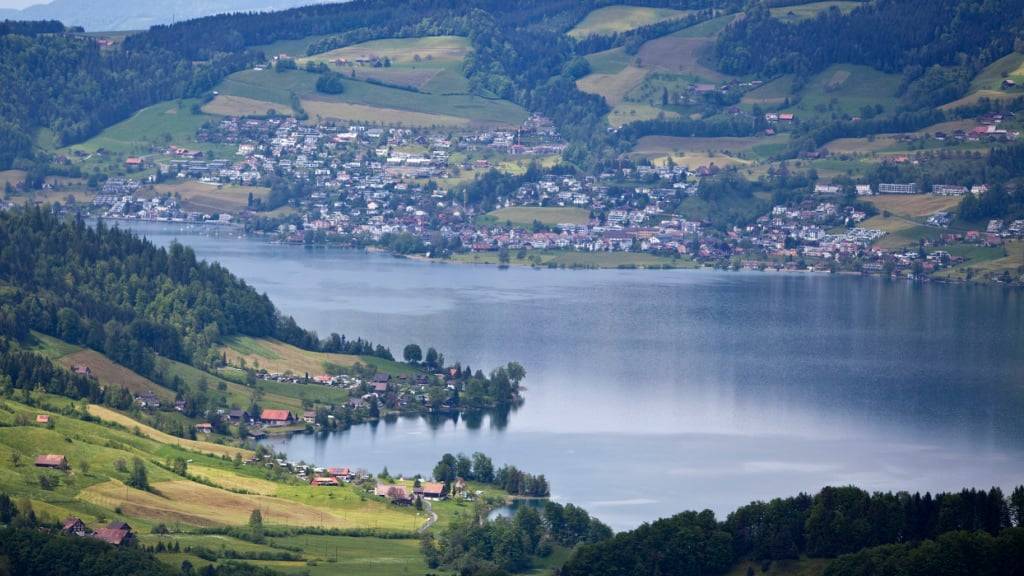Im Ägerisee gibt es keine Quaggamuscheln. (Archivaufnahme)