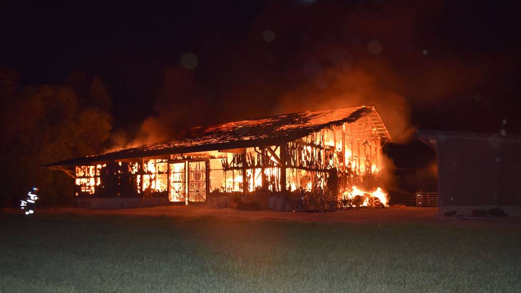 Psychologe: «Nicht auszuschliessen, dass bald auch ein Wohnhaus brennt»