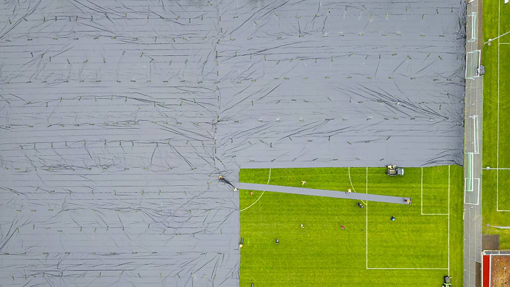 Die Fussballplätze der Klotener Sportanlage Stighag wurden mit Folie abgedeckt. Zur Flugzeit hinderten diese wohl unzählige Japankäfer am ausfliegen. (Archivbild)