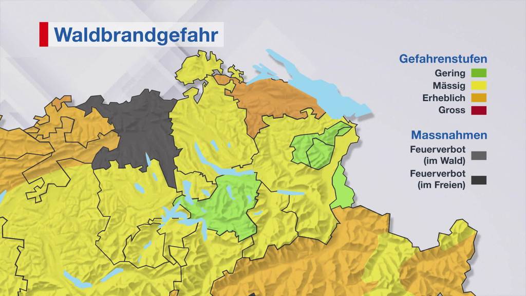 Grosse Waldbrandgefahr: Kanton Thurgau mahnt zur Vorsicht