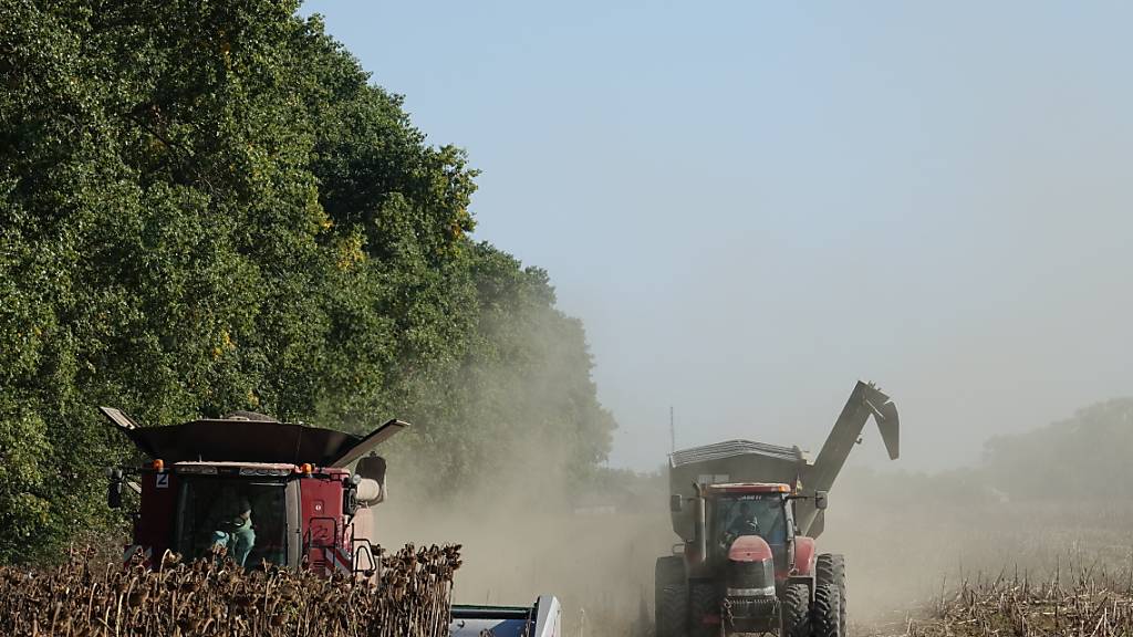 ARCHIV - Ein Mähdrescher und ein Traktor in der Ukraine bei der Sonnenblumenernte. Foto: Friedemann Kohler/dpa