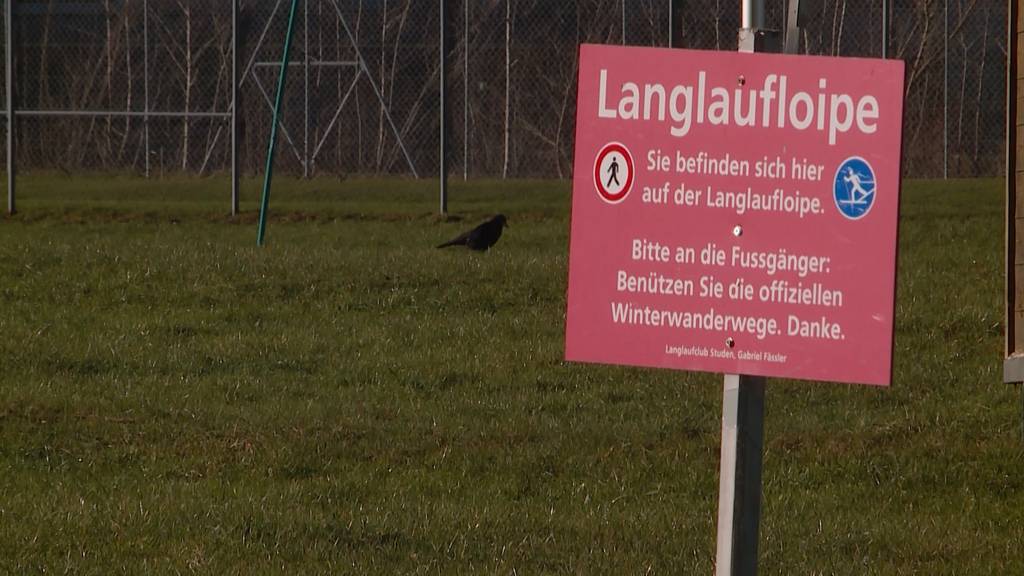 Langlauf-Frust weil der Schnee fehlt