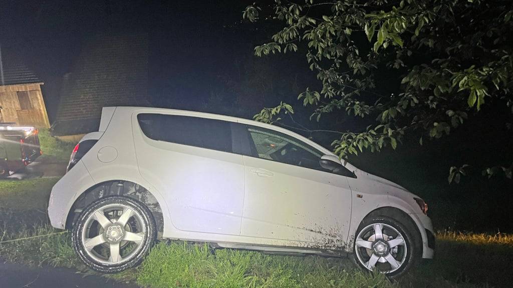 In Weggis geriet ein Auto von der Fahrbahn und blieb in einer Wiese stecken.