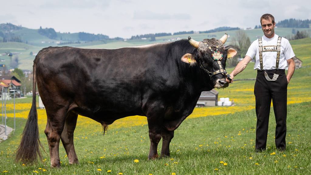 Der Beste am EJSF in Appenzell bekommt «Alpstein»