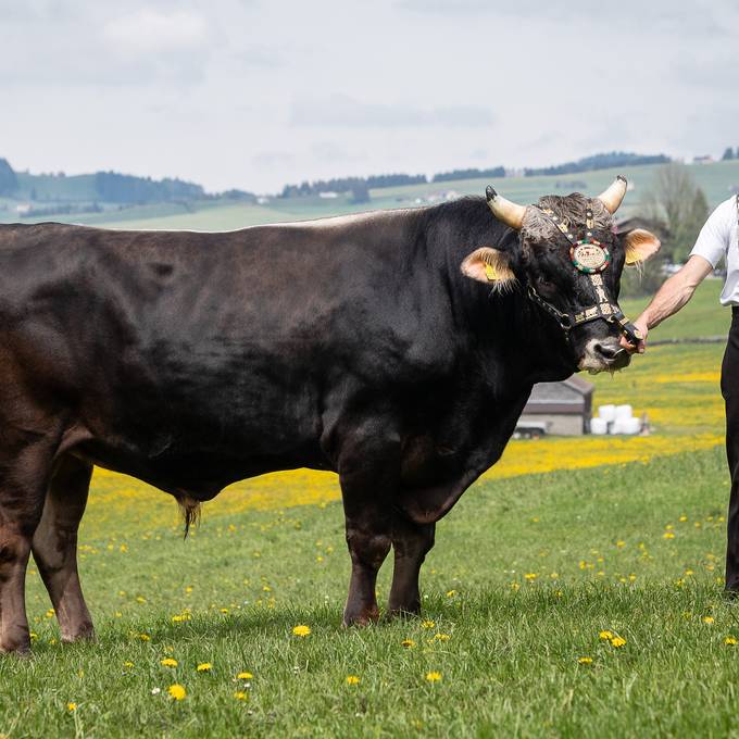 Der Beste am EJSF in Appenzell bekommt «Alpstein»