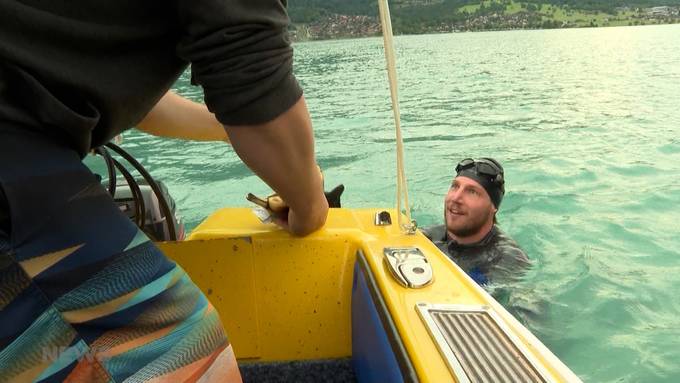Gesamte Aare abschwimmen: Solothurner hat erste drei Etappen geschafft