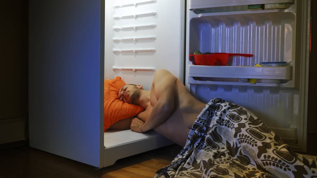 Schlafen vor dem Kühlschrank.