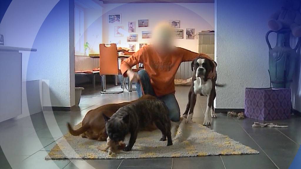 Wegen ihrer Hunde muss die Leutwiler Züchterin vor Gericht