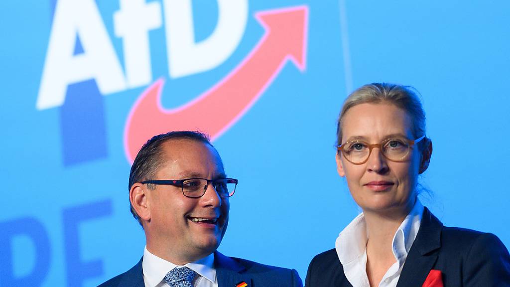Tino Chrupalla und Alice Weidel bei der Europawahlversammlung in Magdeburg. Foto: Klaus-Dietmar Gabbert/dpa