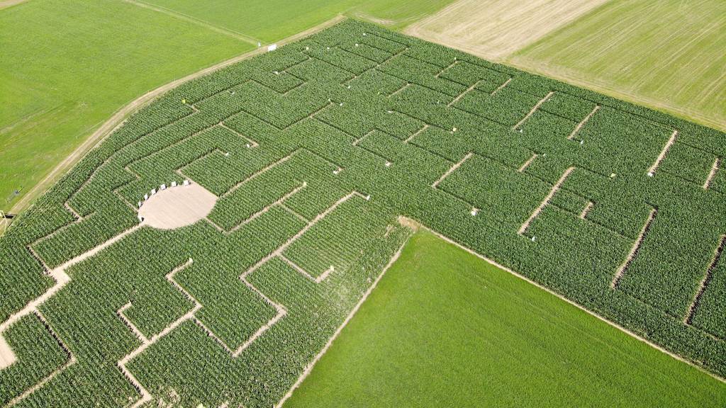 Wer den Weg nicht weiterverfolgen mag, kann das Maislabyrinth in der Hälfte verlassen.