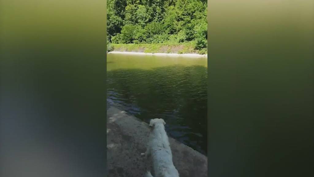 Die schönsten Fotos zum Abschluss der Sommerferien