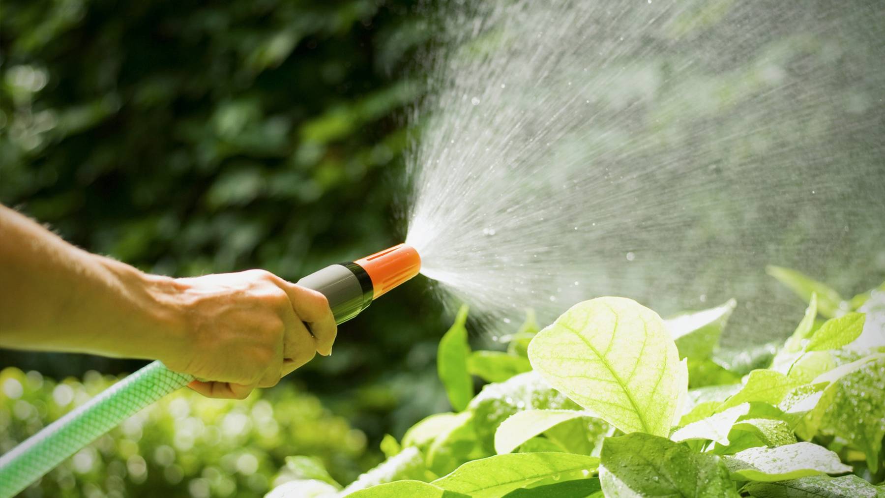 Wasser war im Hitzesommer 2018 ein kostbares Gut, gewisse Gemeinden sind sehr verschwenderisch damit umgegangen.