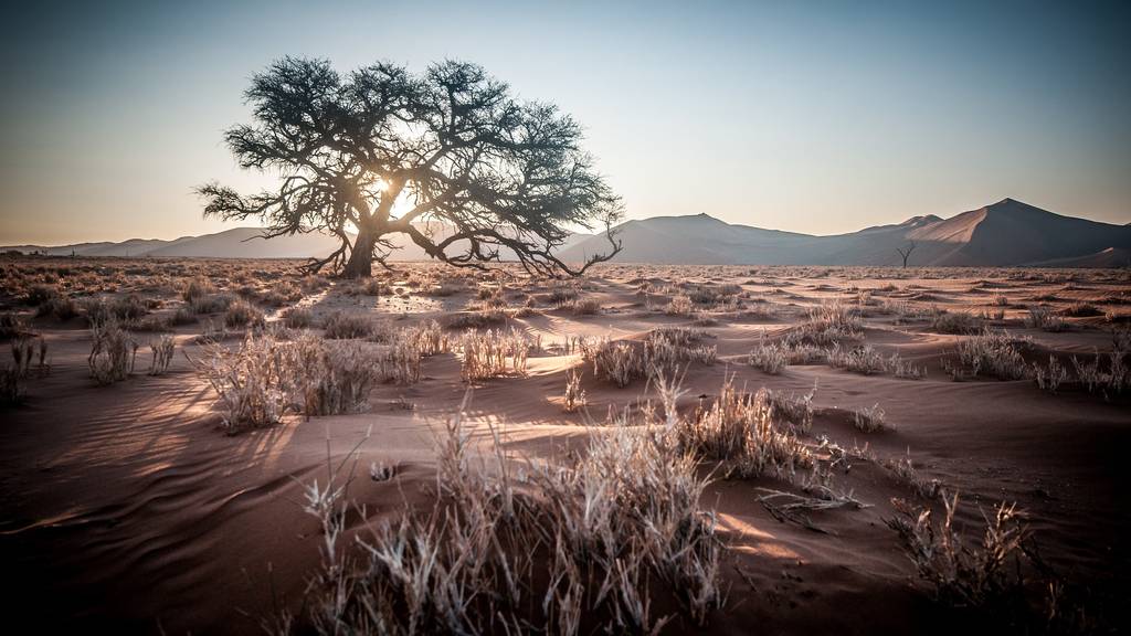 Namibia - Land der Gegensätze