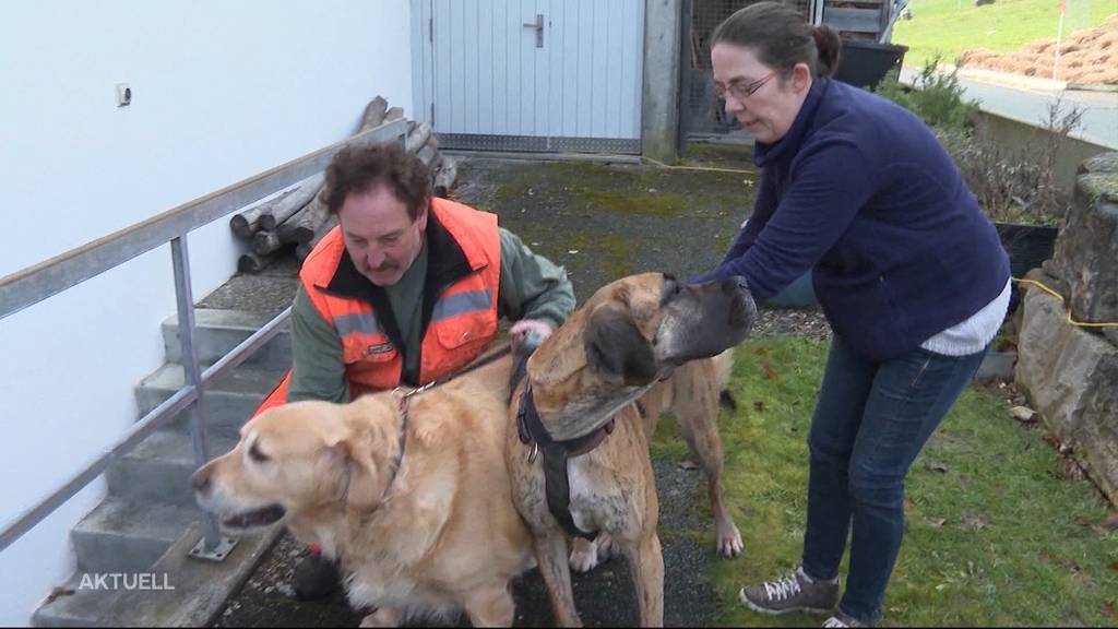 Tierische Helden: Hunde alarmieren Bewohner bei Hausbrand