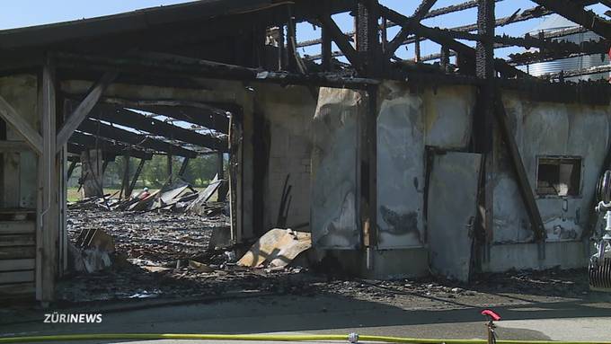 Flammeninferno in Ramsen – 17'000 Jungtiere sterben bei Stallbrand