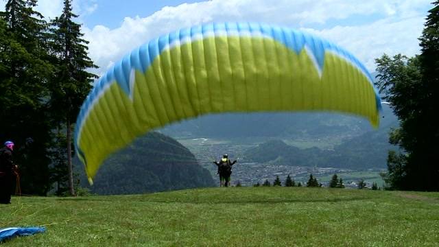 Adler von Adelboden