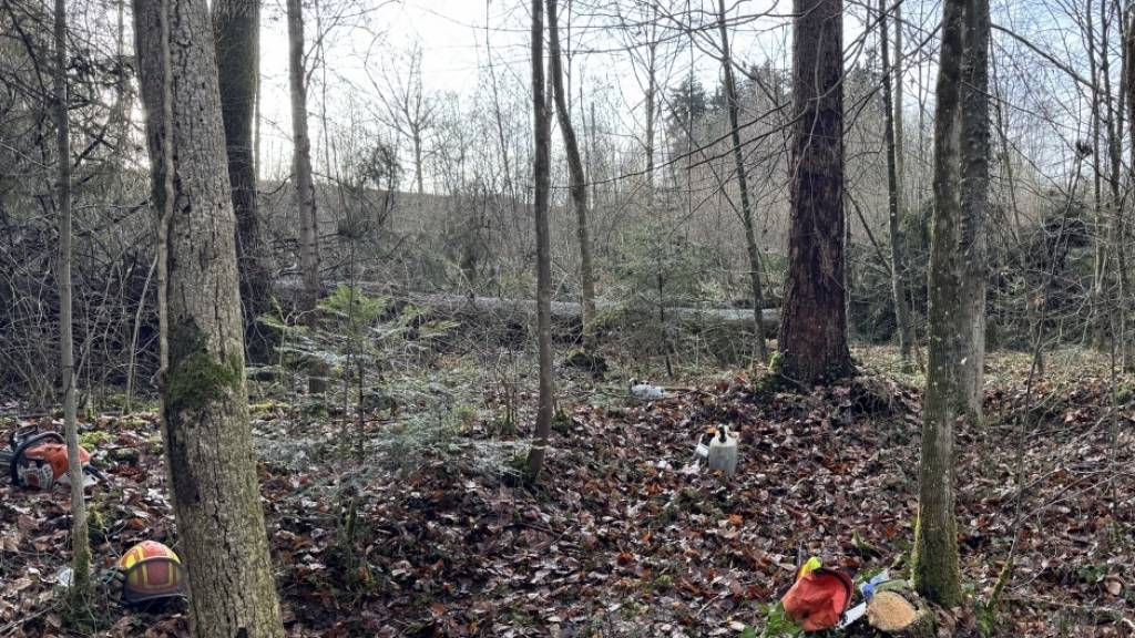 Ein knapp acht Meter langer Stamm traf den Forstarbeiter am Arm sowie an einem Bein.