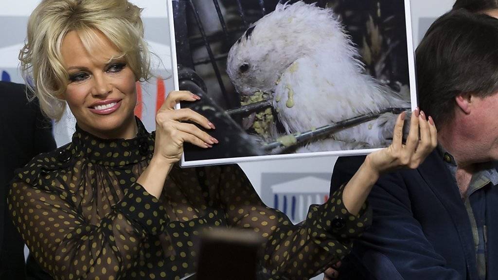 Hält den Franzosen den Spiegel vor: «Bawatch»-Star Pamela Anderson kämpft im Parlament in Paris gegen Stopflebern.