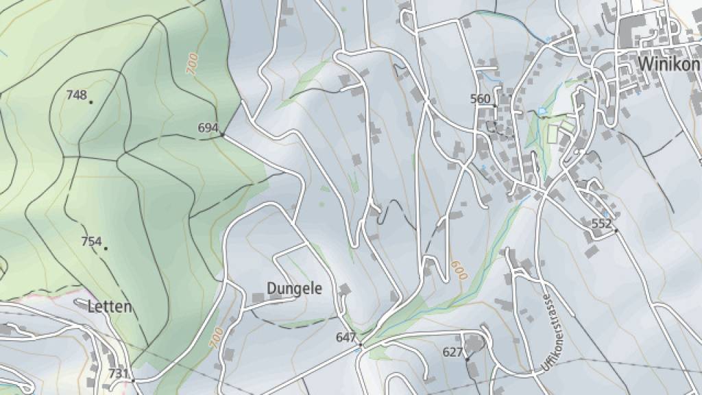 Im Gebiet Dungele, Ortsteil Winikon, Gemeinde Triengen, plant die Zimmermann Umweltlogistik AG eine Deponie, die sie für 11 bis 13 Jahre betreiben will.