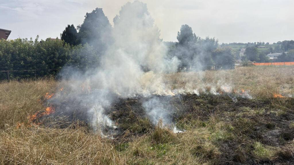 Die Feuerwehr löschte die brennende Wiese.