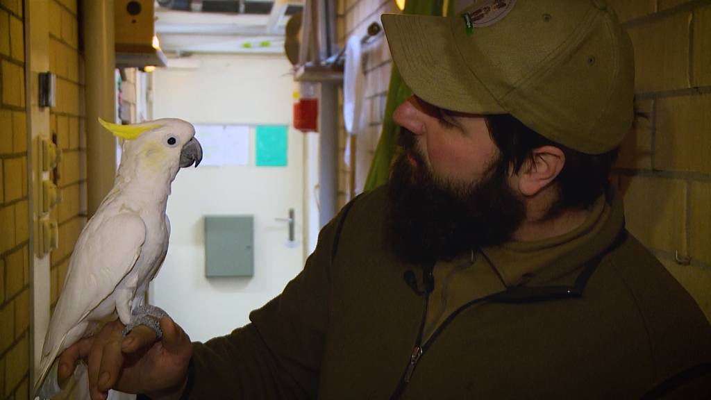 Tierisch exotisch: Walter und die Vögel