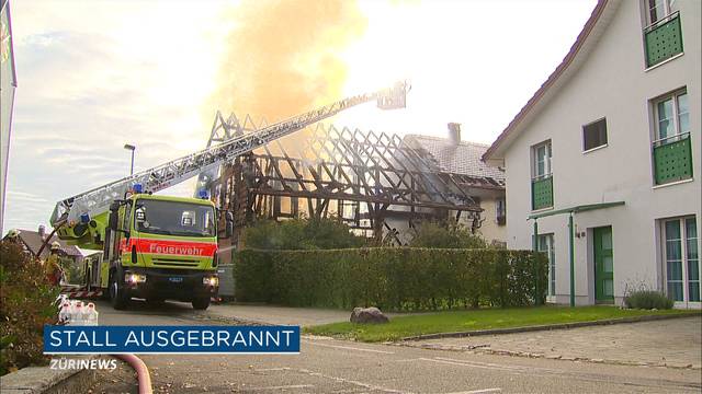 Buech am Irchel: Stall fängt Feuer