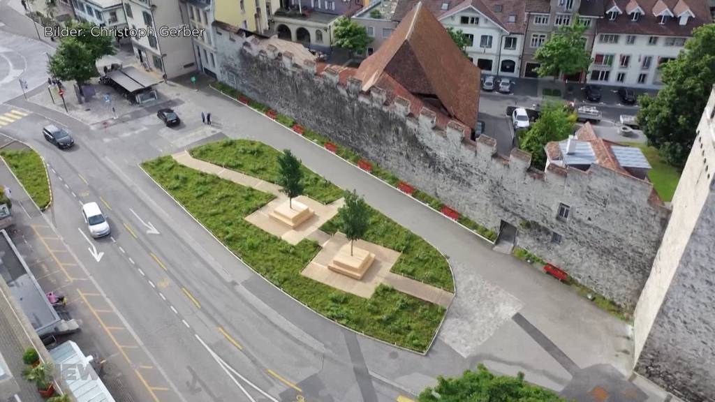 Wildwuchs-Insel mitten in Thun