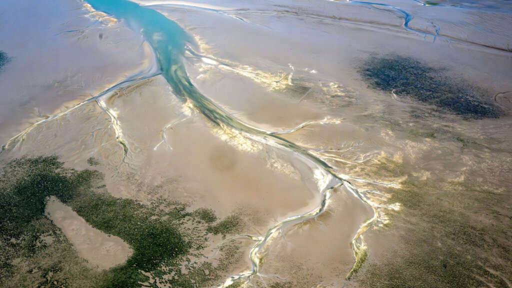Mit Sorge sehen Wissenschaftler, dass die Seegraswiesen im niedersächsischen Wattenmeer schrumpfen. (Archivbild)