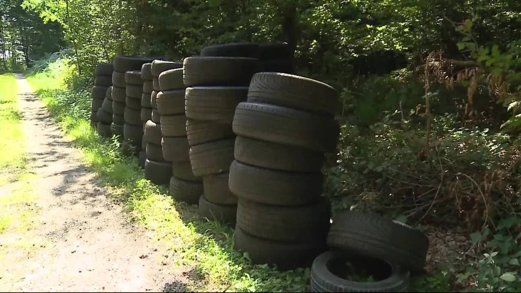 Schon wieder: Über 70 Pneus im Wald entsorgt