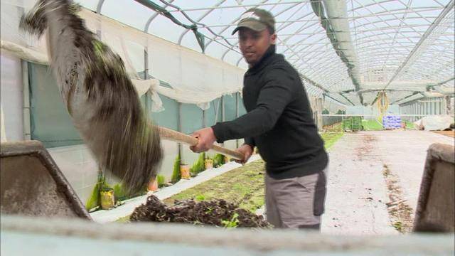 Flüchtlinge auf dem Bauernhof