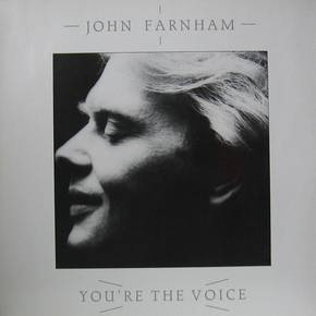YOU'RE THE VOICE (1986)