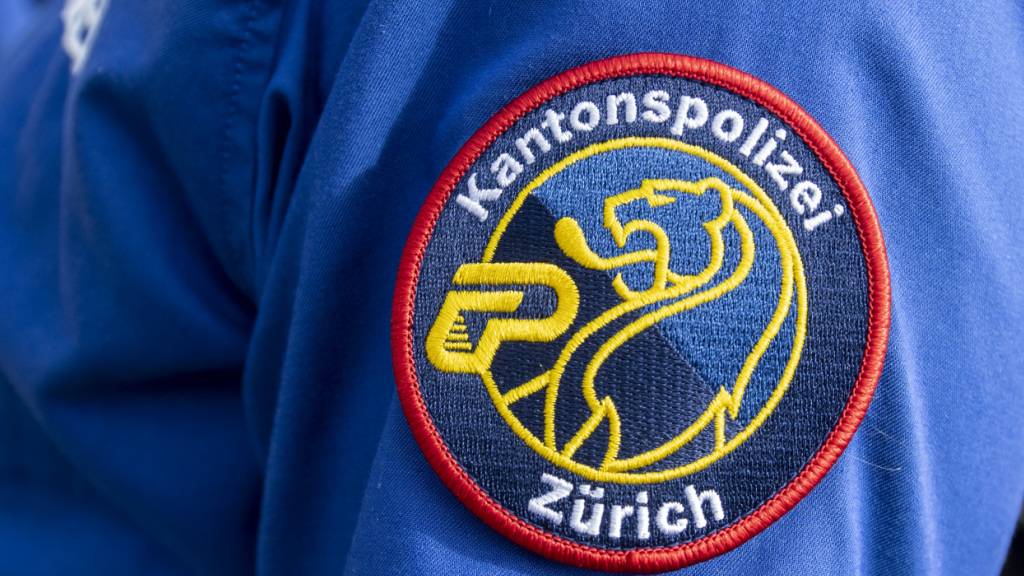 Polizei verhaftet Kriminaltouristen beim Zürcher HB