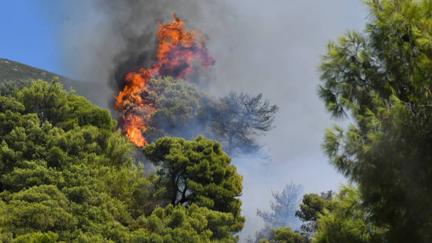 Waldbrand in Griechenland: Schuld war ziemlich sicher der Mensch. (Bild vom 16. Juli 2022)