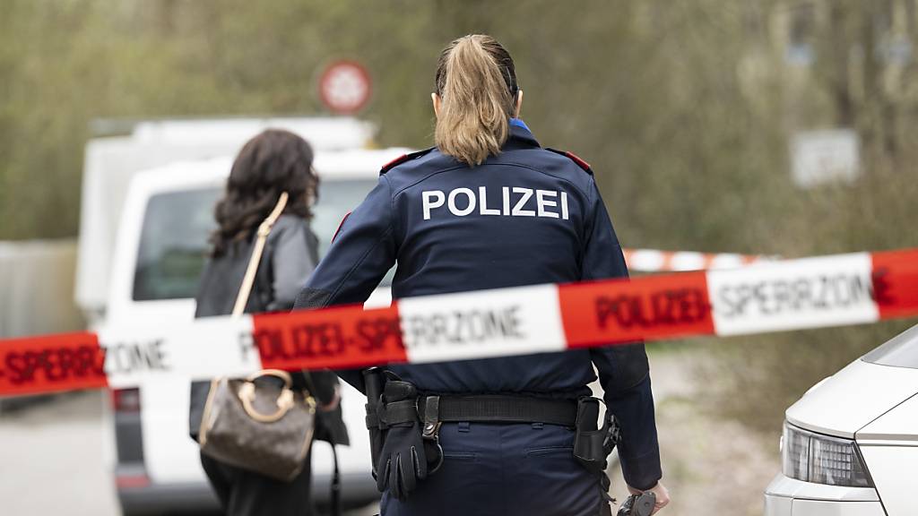 In Wetzikon ist es am Freitagmorgen zu einem Gewaltdelikt gekommen. Drei Personen wurden dabei verletzt. Der mutmassliche Täter wurde verhaftet.