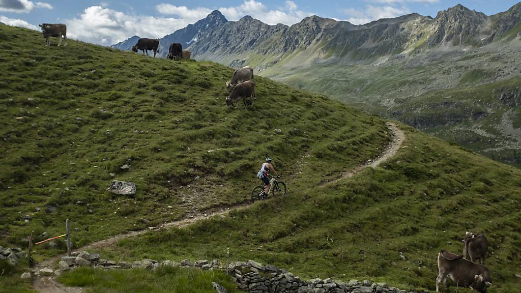 Wer sein Arbeitspensum freiwillig reduziert, um mehr Freizeit zu haben, soll nicht die vollen städtischen Unterstützungsleistungen erhalten, forderte die Stadtzürcher FDP - sie blieb in der Minderheit. (Symbolbild)